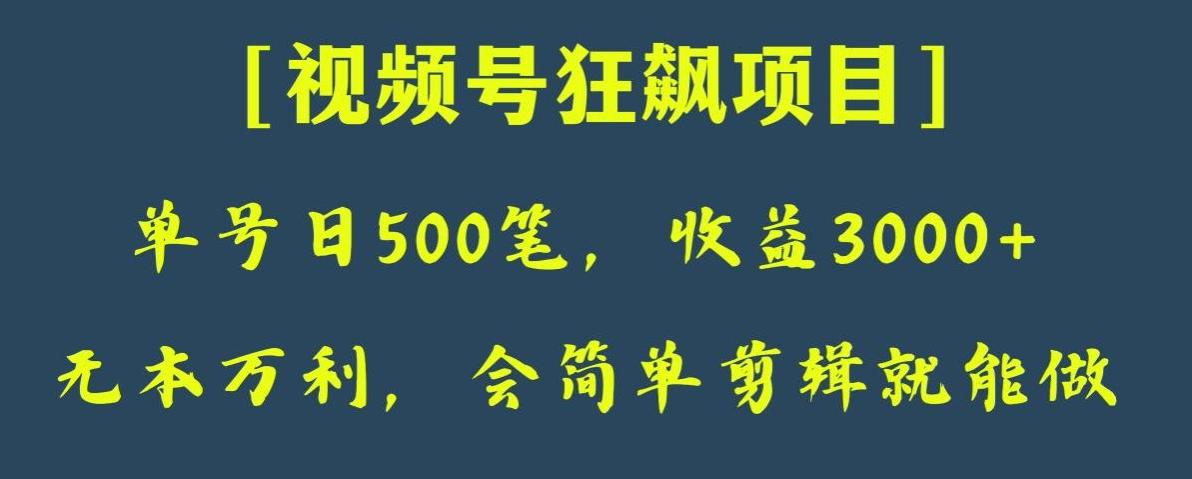 日收款500笔，纯利润3000+，视频号狂飙项目，会简单剪辑就能做【揭秘】-huitchan网创
