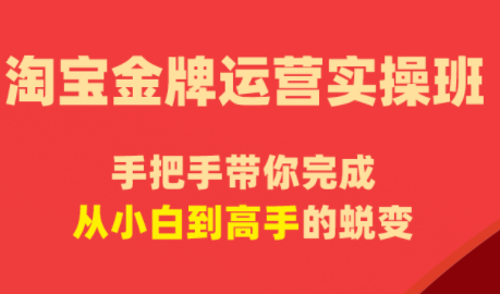 飓风电商·淘宝金牌运营实操班-huitchan网创