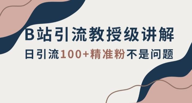 B站引流教授级讲解，细节满满，日引流100+精准粉不是问题【揭秘】-huitchan网创