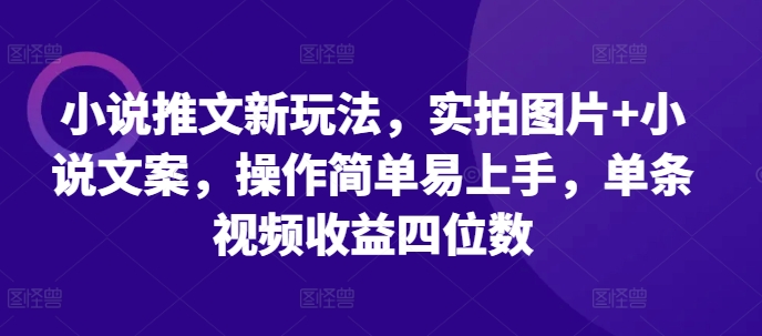 小说推文新玩法，实拍图片+小说文案，操作简单易上手，单条视频收益四位数-huitchan网创
