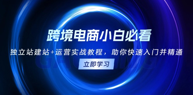 跨境电商小白必看！独立站建站+运营实战教程，助你快速入门并精通-huitchan网创