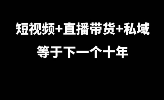 短视频+直播带货+私域等于下一个十年，大佬7年实战经验总结-huitchan网创