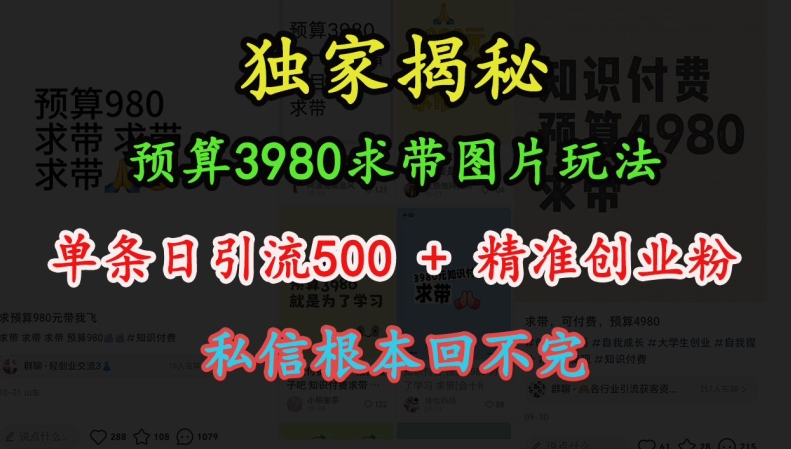 预算3980求带 图片玩法，单条日引流500+精准创业粉，私信根本回不完-huitchan网创