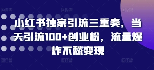 小红书独家引流三重奏，当天引流100+创业粉，流量爆炸不愁变现【揭秘】-huitchan网创