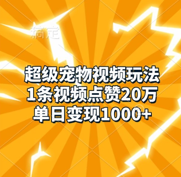 超级宠物视频玩法，1条视频点赞20万，单日变现1k-huitchan网创