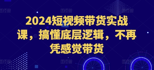 2024短视频带货实战课，搞懂底层逻辑，不再凭感觉带货-huitchan网创