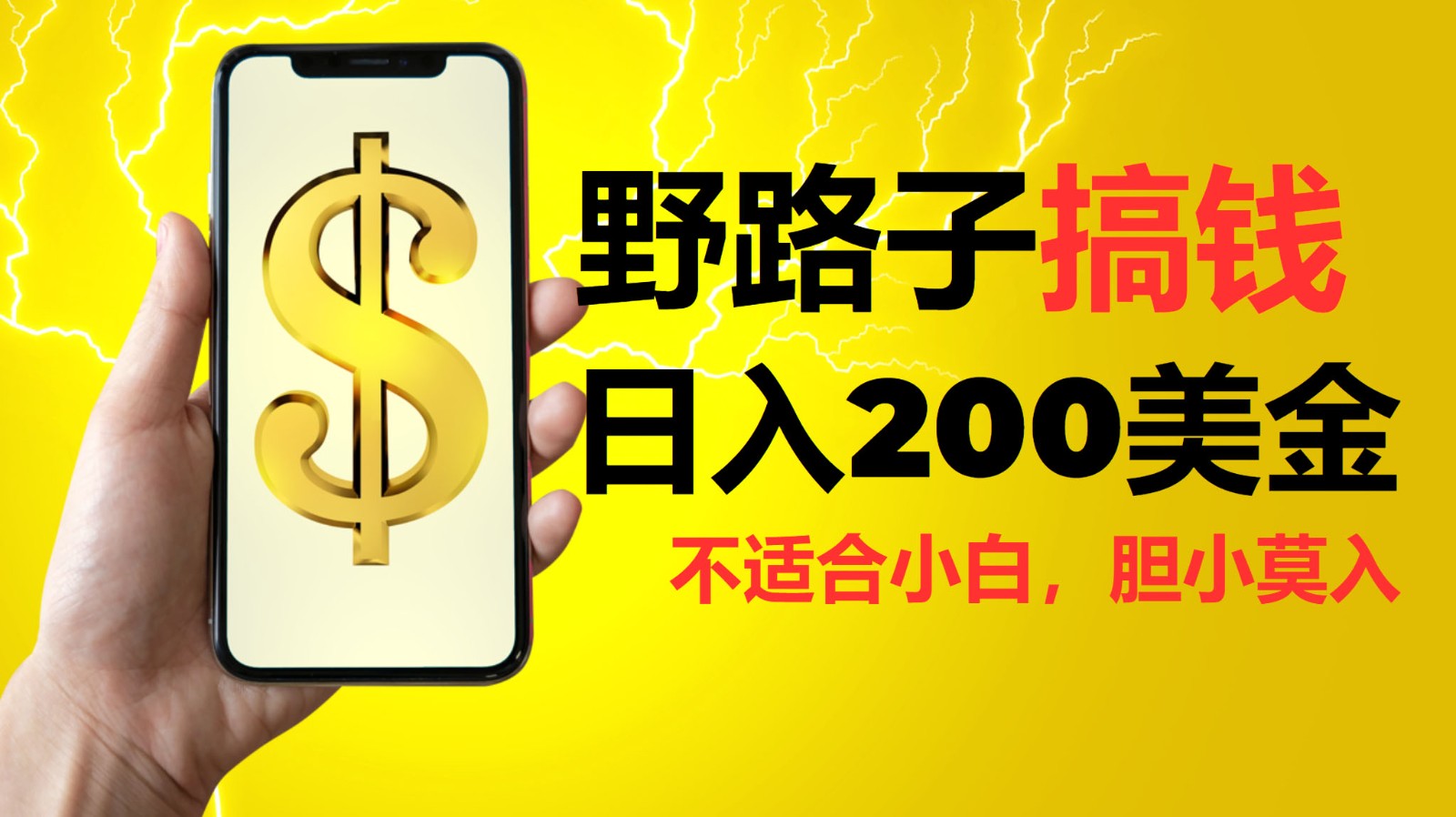 挂机野路子搞钱,日入200美金,路子很野,小白莫入-huitchan网创