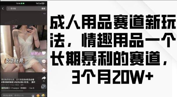 成人用品赛道新玩法，情趣用品一个长期暴利的赛道，3个月收益20个【揭秘】-huitchan网创
