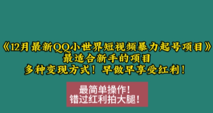 12月最新QQ小世界短视频暴力起号项目，最适合新手的项目，多种变现方式-huitchan网创