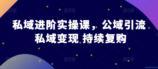 私域进阶实操课，公域引流 私域变现 持续复购-huitchan网创