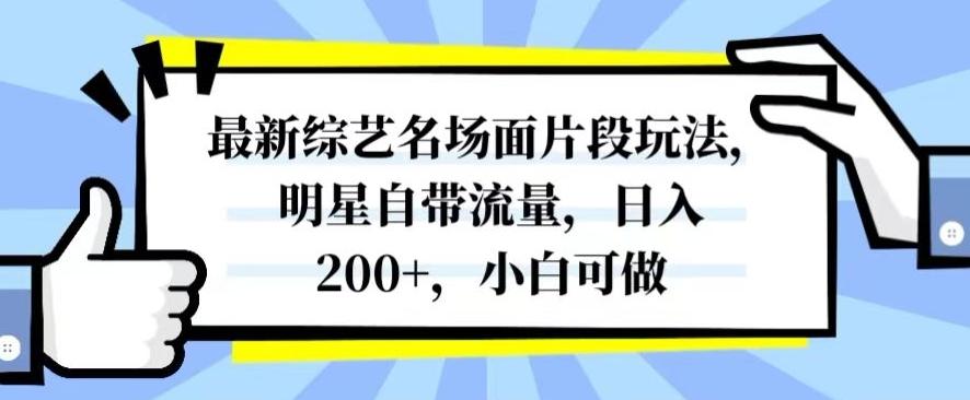 最新综艺名场面片段玩法，明星自带流量，日入200+，小白可做【揭秘】-huitchan网创