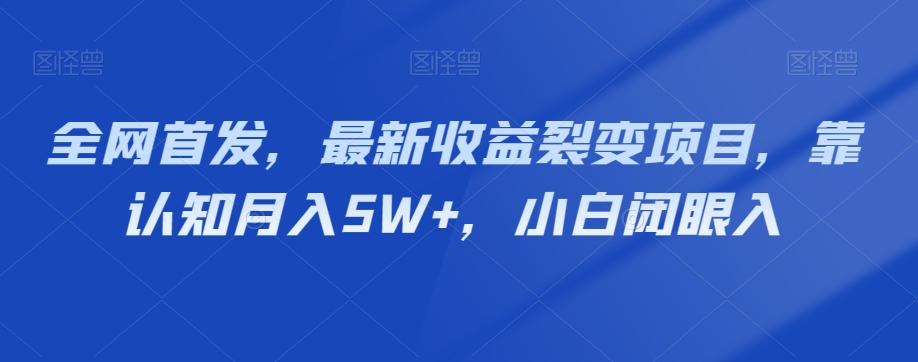 全网首发,最新收益裂变项目,靠认知月入5W+,小白闭眼入-huitchan网创
