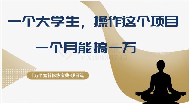 十万个富翁修炼宝典之4.一个大学生操作这个项目，一个月能搞一万-huitchan网创