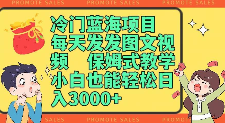 冷门蓝海项目，每天发发图文视频，保姆式教学，小白也能轻松日入3000+-huitchan网创