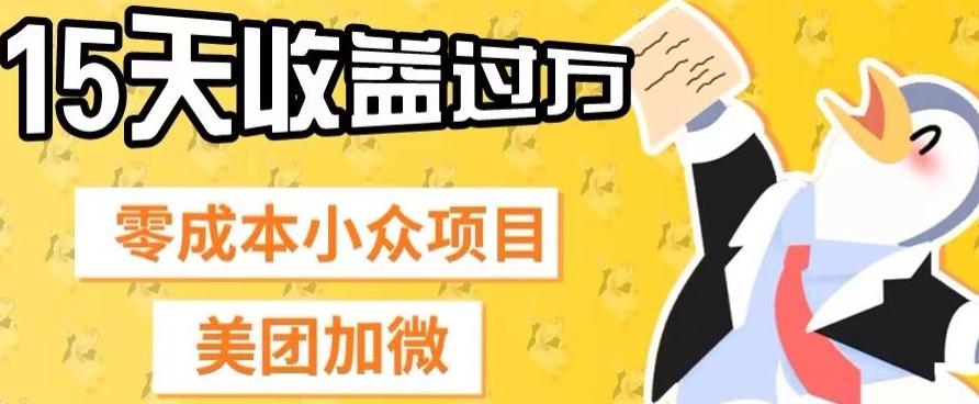 零成本小众项目，美团加微，一单4.5+，15天已经有人赚上万收益-huitchan网创