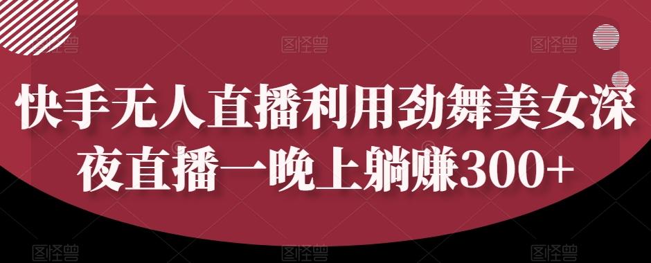 快手无人直播利用劲舞美女深夜直播一晚上躺赚300+-huitchan网创