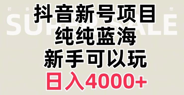 抖音蓝海赛道，必须是新账号，日入4000+【揭秘】-huitchan网创