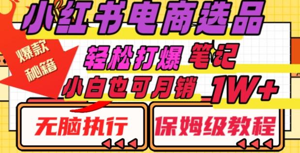 小红书电商爆款选品秘籍，帮你轻松打爆笔记，小白也可轻松月销10000+-huitchan网创