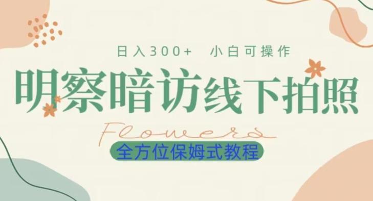 明拍暗拍项目0成本投入日入300+小白可操作保姆式全方位教程-huitchan网创