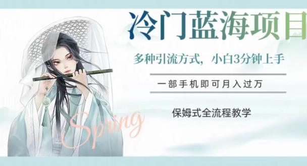 冷门蓝海项目，操作简单，小白3分钟上手，多种引流方式，保姆式全流程教学【揭秘】-huitchan网创