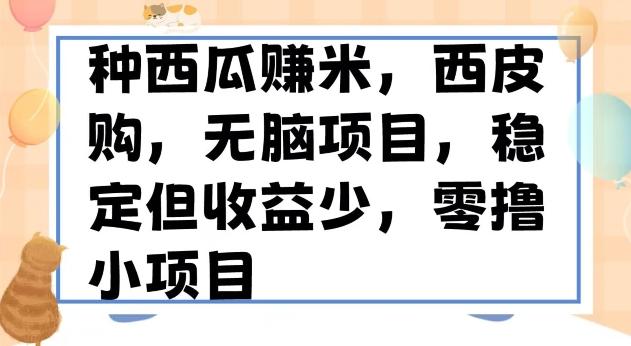 种西瓜赚米，西皮购稳定长久零撸小项目-huitchan网创