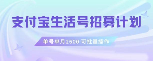 支付宝生活号作者招募计划，单号单月2600，可批量去做，工作室一人一个月轻松1w+【揭秘】-huitchan网创