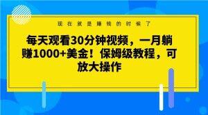 每天观看30分钟视频，一月躺赚1000+美金！保姆级教程，可放大操作【揭秘】-huitchan网创