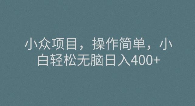 小众项目，操作简单，小白轻松无脑日入400+-huitchan网创