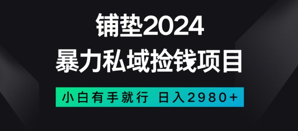暴力私域捡钱项目，小白无脑操作，日入2980【揭秘】-huitchan网创