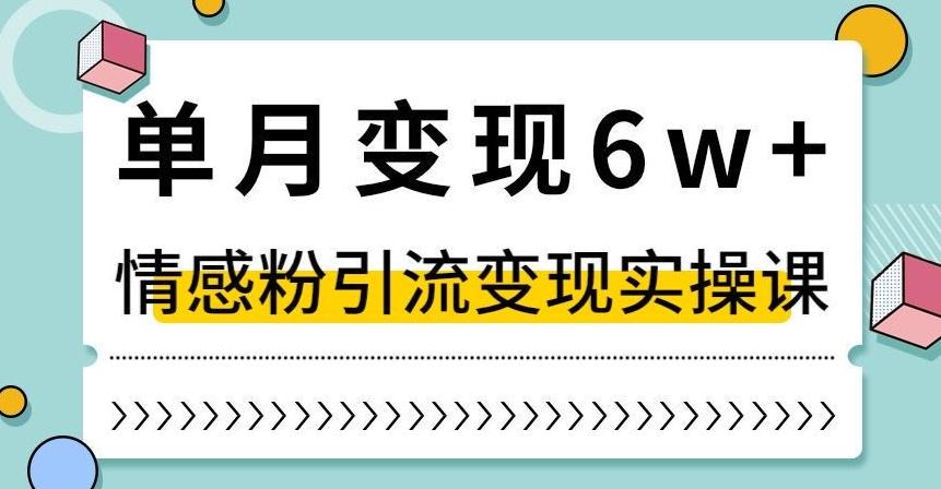单月变现6W+，抖音情感粉引流变现实操课，小白可做，轻松上手，独家赛道【揭秘】-huitchan网创