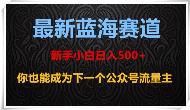 最新蓝海赛道，新手小白日入500+，你也能成为下一个公众号流量主【揭秘】-huitchan网创