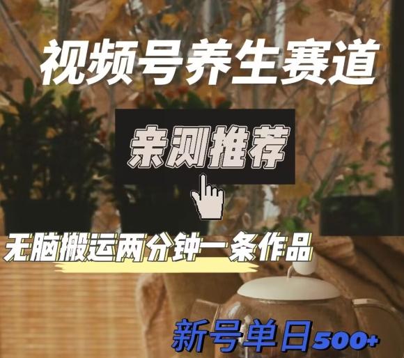 视频号养生赛道暴力掘金，无脑搬运，两分钟一条作品-新日单入500+-huitchan网创