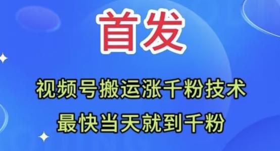 全网首发：视频号无脑搬运涨千粉技术，最快当天到千粉【揭秘】-huitchan网创