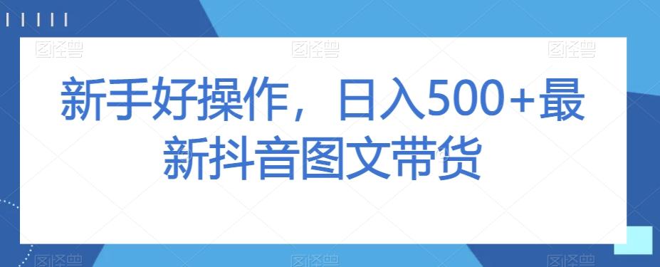 新手好操作，日入500+最新抖音图文带货【揭秘】-huitchan网创