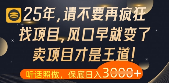 什么？25年你还在疯狂找项目做，醒醒吧，看完这些你全都懂了【揭秘】-huitchan网创
