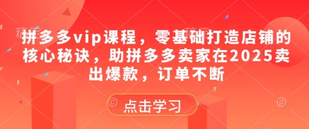 拼多多vip课程，零基础打造店铺的核心秘诀，助拼多多卖家在2025卖出爆款，订单不断-huitchan网创