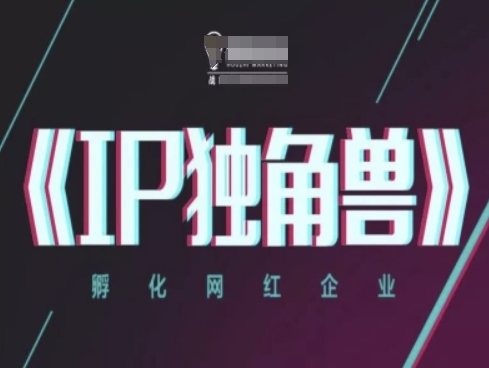 IP独角兽，孵化网红企业，ip教程-huitchan网创