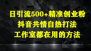 日引流500+精准创业粉，抖音共情自热打法，工作室都在用的方法-huitchan网创