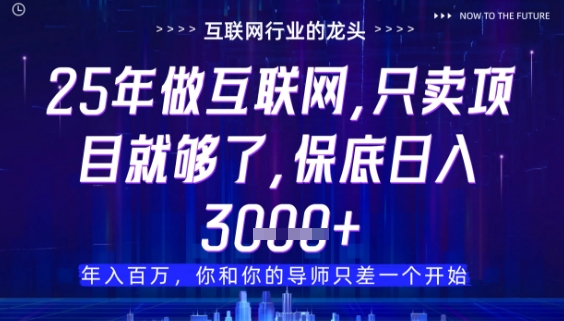什么！25年你还在找项目做？风口早就变了，卖项目才是稳挣不赔【揭秘】-huitchan网创
