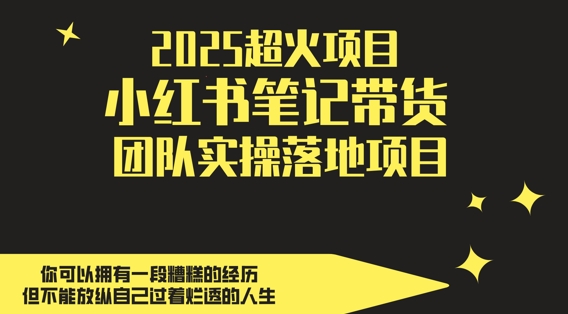 2025超火项目，副业最佳选择，小红书笔记带货团队实操落地项目，，轻松日入5张-huitchan网创