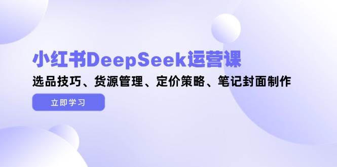 小红书DeepSeek运营课，选品技巧、货源管理、定价策略、笔记封面制作-huitchan网创