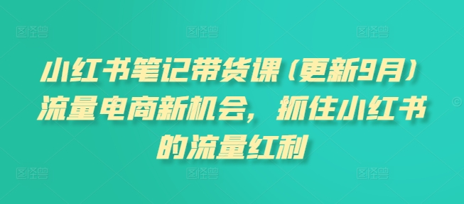 小红书笔记带货课(更新25年4月)流量电商新机会，抓住小红书的流量红利-huitchan网创