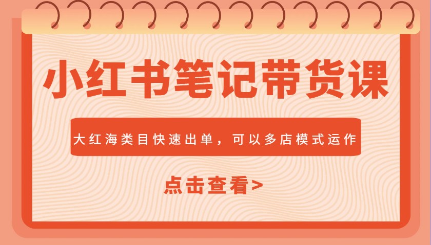 小红书笔记带货课，大红海类目快速出单，市场大，可以多店模式运作(更新)-huitchan网创