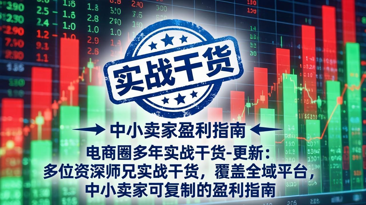 电商圈多年实战干货-更新5月20：多位资深师兄实战干货/覆盖全域平台，中小卖家可复制的盈利指南-huitchan网创