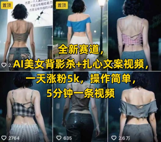 全新赛道，AI美女背影杀+扎心文案视频，一天涨粉5k，操作简单，5分钟一条视频-huitchan网创