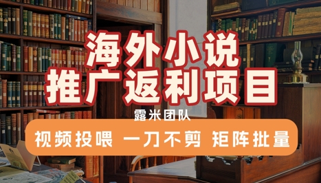 海外小说推广返利项目，视频投喂， 一刀不剪，矩阵批量-huitchan网创