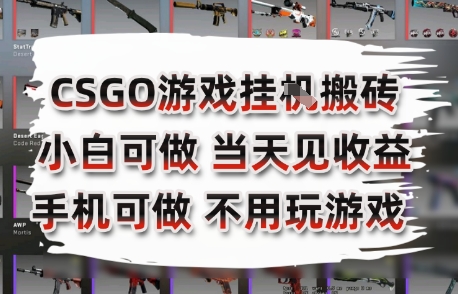 CSGO游戏挂G搬砖，小白纯手机即可操作，不用电脑打游戏，日入3张+，副业网创项目【揭秘】-huitchan网创