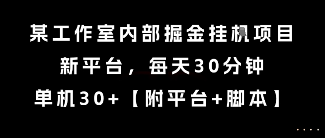 某工作室内部掘金挂G项目，新平台，每天30分钟，单机30+【揭秘】-huitchan网创