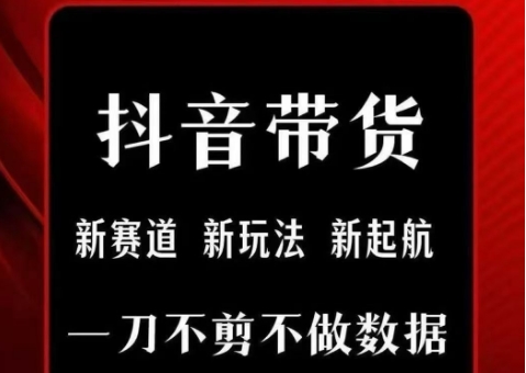 抖音短视频一刀不剪带货，不剪辑，不直播，每天发个视频，等着出单获取带货佣金-huitchan网创