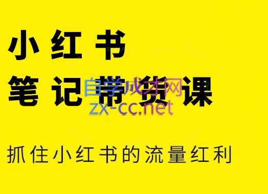 张宾·小红书笔记带货课(更新6月)-huitchan网创
